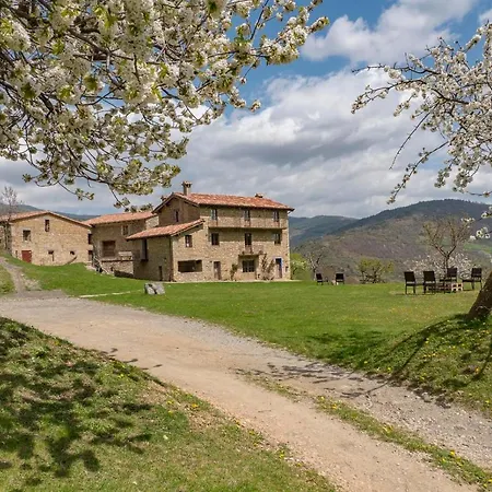 Gallo