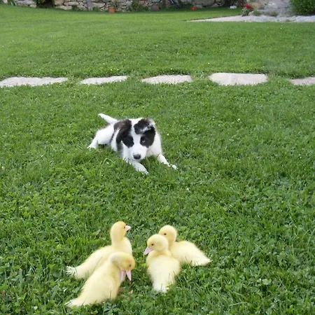 בית כפרי Gallo