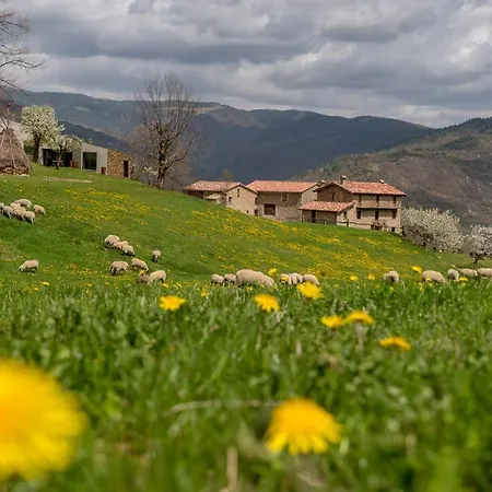 Casa di campagna Gallo Llanars